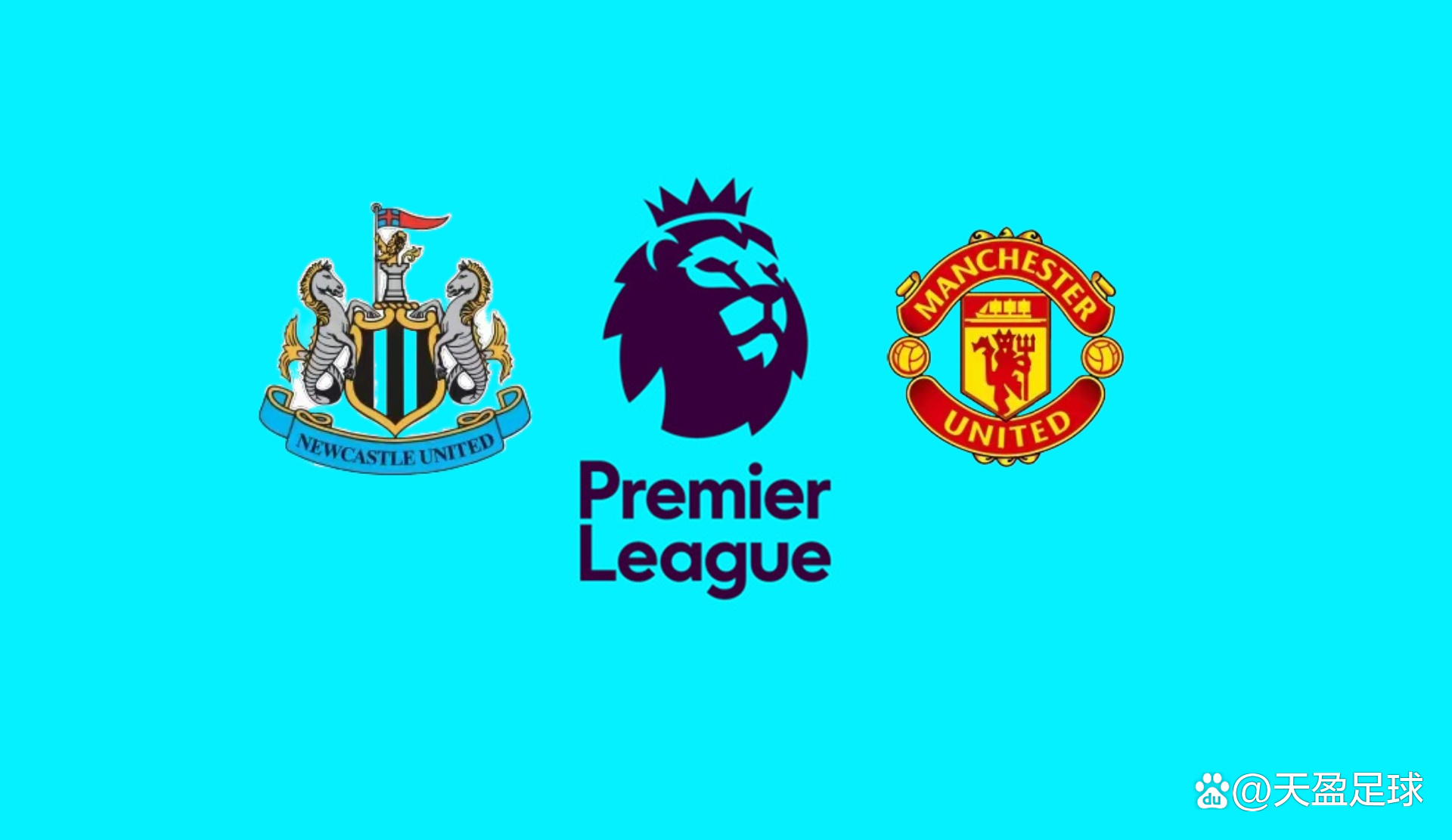 为又一个成 为又一个成