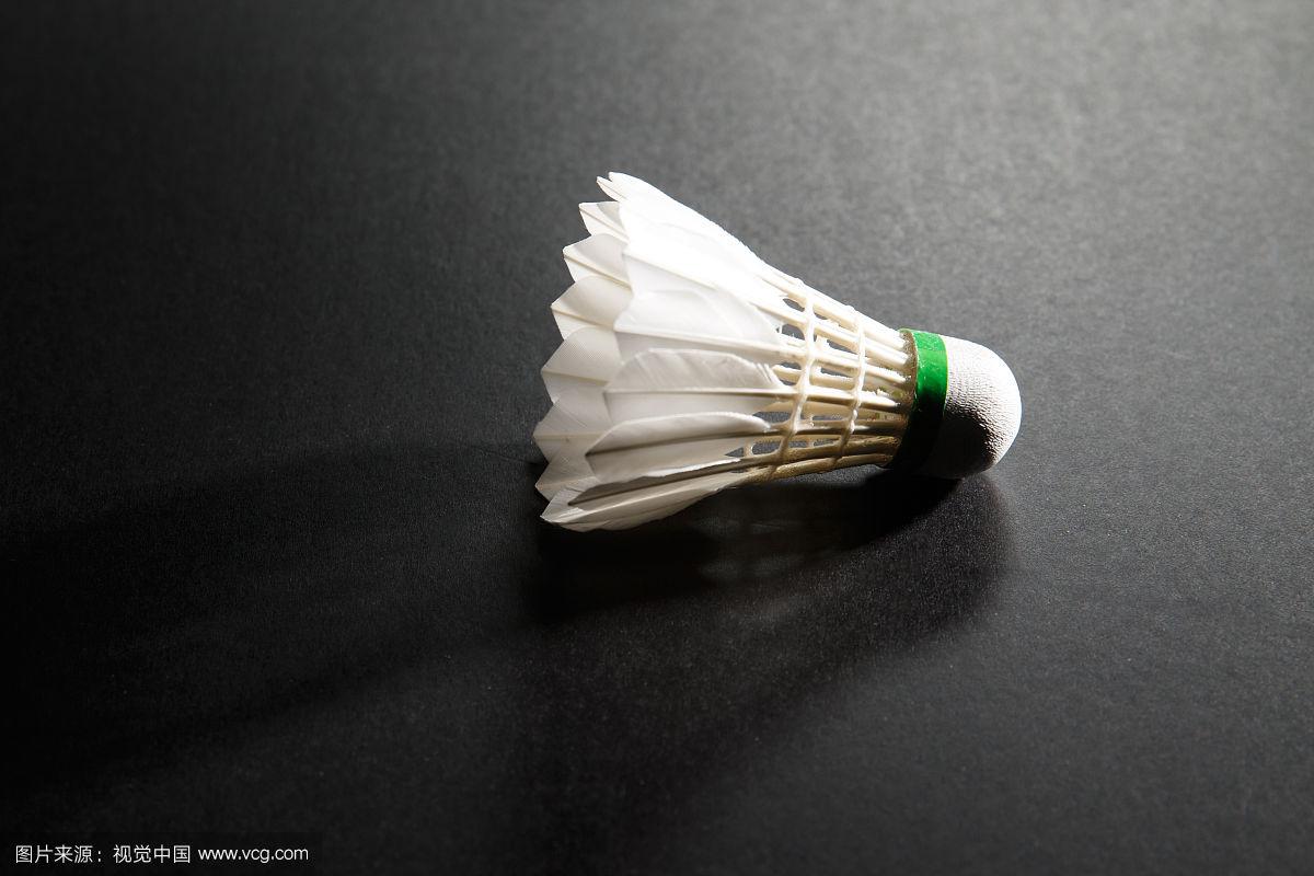 从而迎来了 从而迎来了