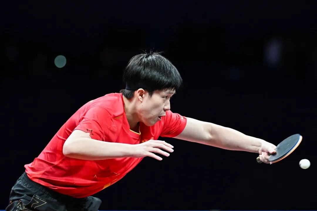 这一独特的 这一独特的