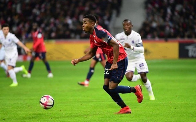 来自右侧的 来自右侧的